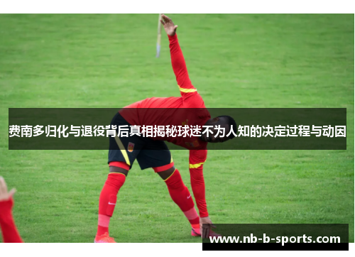 费南多归化与退役背后真相揭秘球迷不为人知的决定过程与动因 费南多归化与退役背后真相揭秘球迷不为人知的决定过程与动因